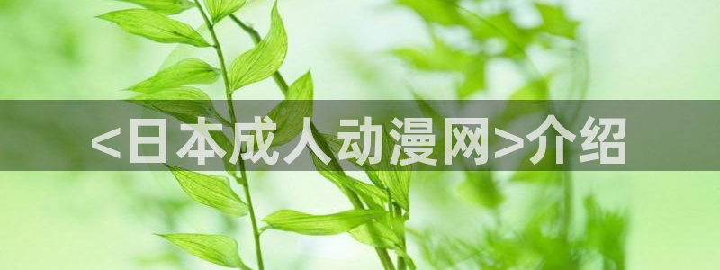 里番 动漫：<日本成人动漫网>介绍