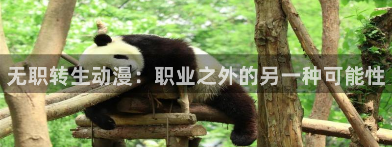 里番动漫排行榜：无职转生动漫：职业之外的另一种可能性
