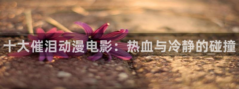 里番绅士动漫：十大催泪动漫电影：热血与冷静的碰撞