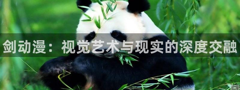 日本里番动漫免费观看：剑动漫：视觉艺术与现实的深度交融
