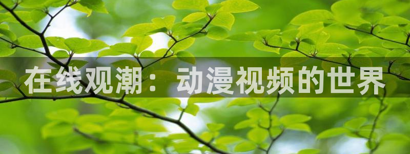 动漫最新里番：在线观潮：动漫视频的世界