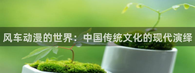 里番在线看动漫：风车动漫的世界：中国传统文化的现代演绎