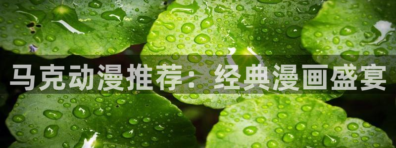 里番动画吧