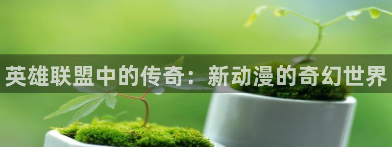 里番动画大全