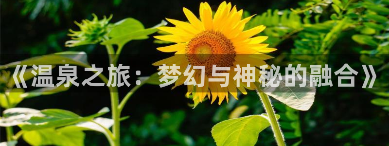 里番漫在线