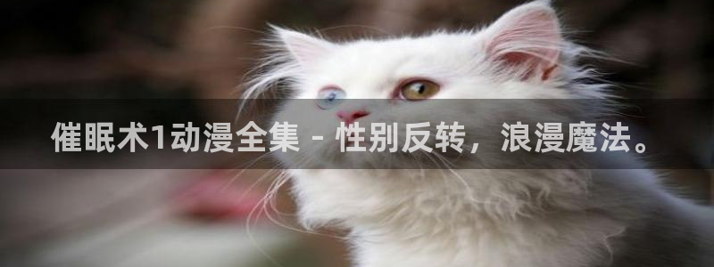里番图片