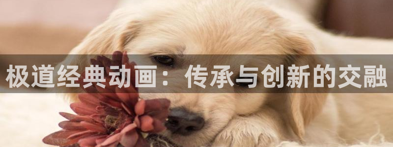 里番3d同人动漫