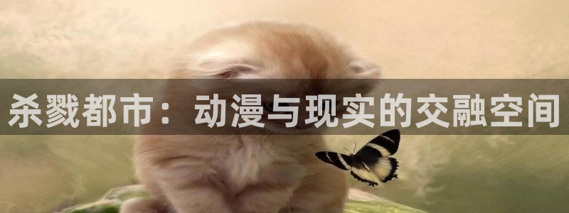 可以看里番动漫的网站