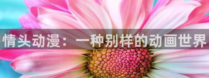 acg里番漫画：情头动漫：一种别样的动画世界