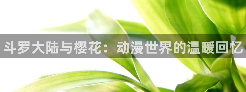 看里番：斗罗大陆与樱花：动漫世界的温暖回忆