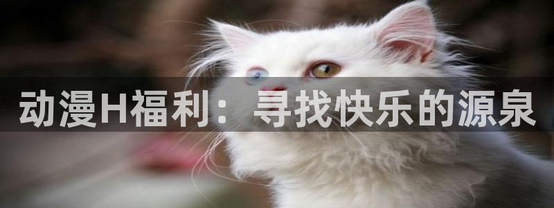 日本里番动漫免费观看：动漫H福利：寻找快乐的源泉